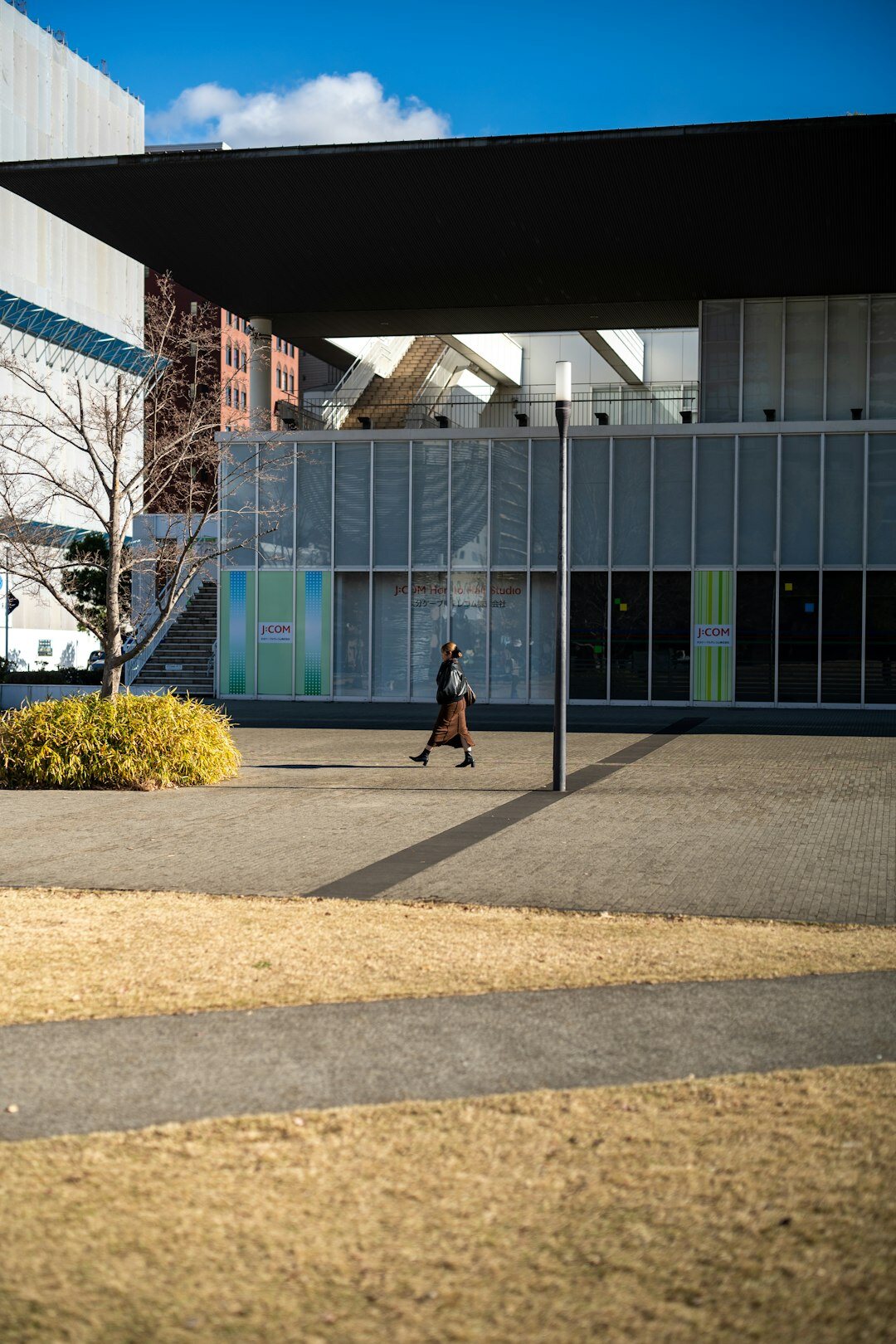 active seniors in modern center