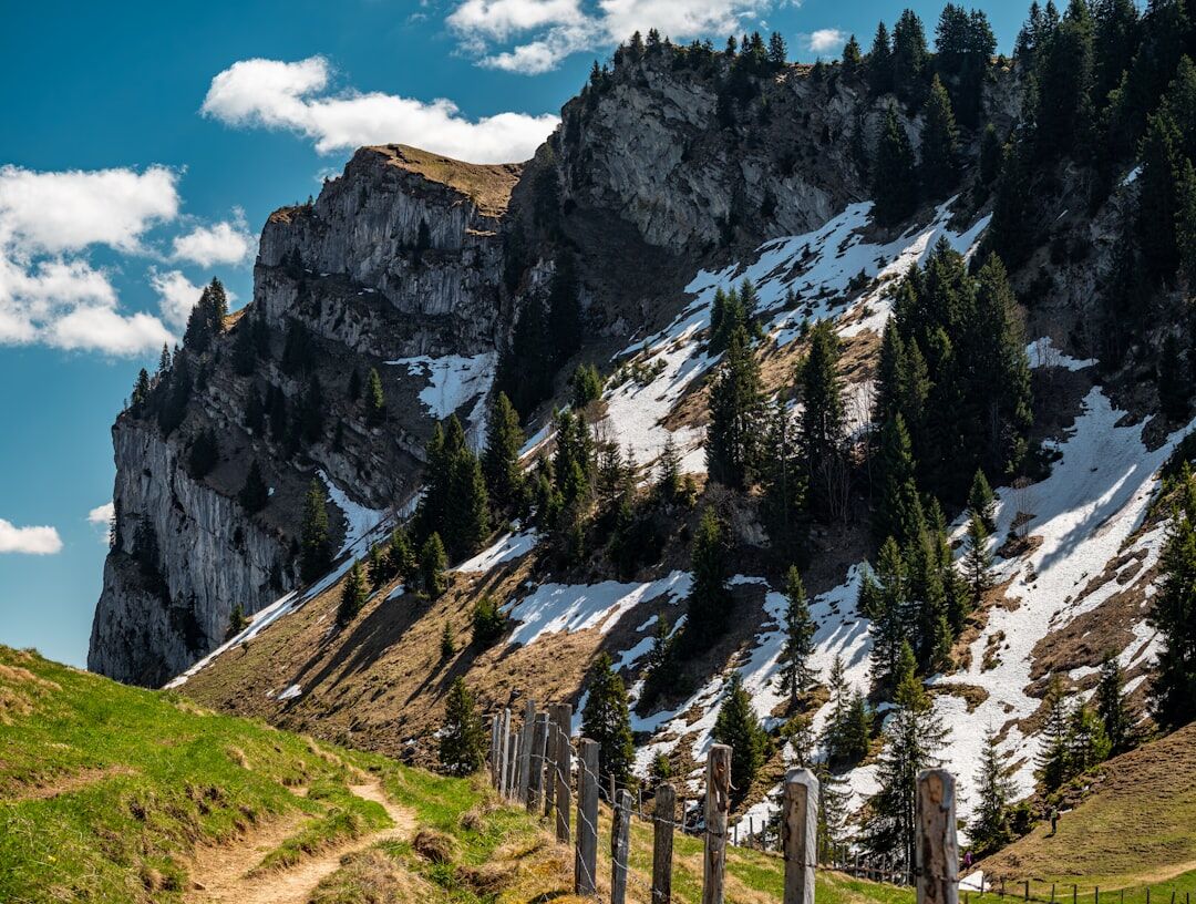 Group of older hikers walking on a scenic mountain trail in Switzerland