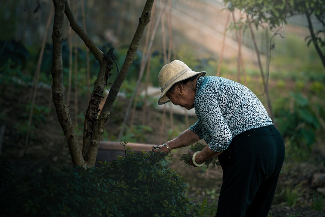 seniors gardening together